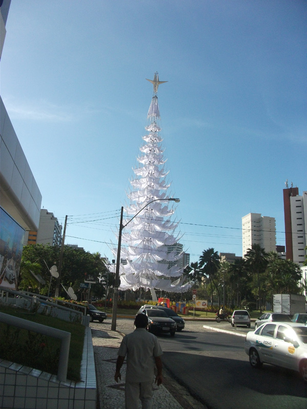 DSCF7258