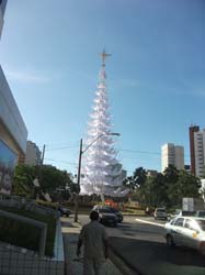 DSCF7258