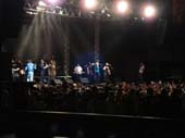 Show 82