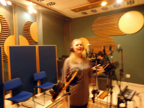 Vocalista em performance no microfone